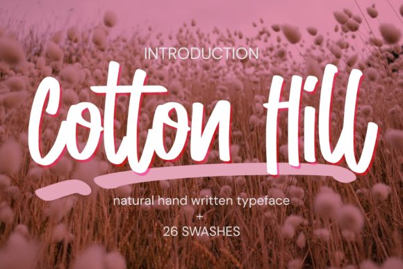 Cotton Hill Font Review