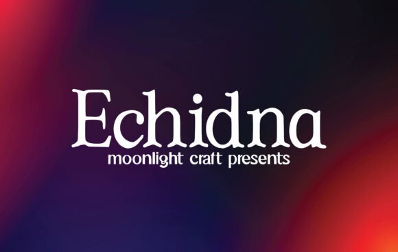 Echidna: A Bold Slab Serif for Real Projects