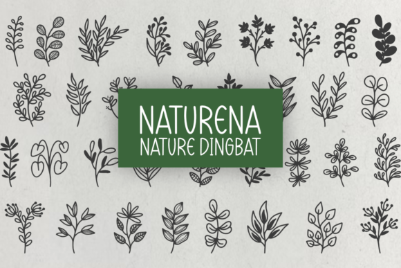 Naturena: A Botanical Typeface for Creative Projects